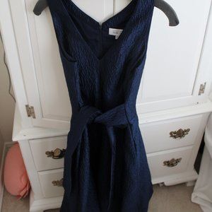 Teri Joh Blue dress